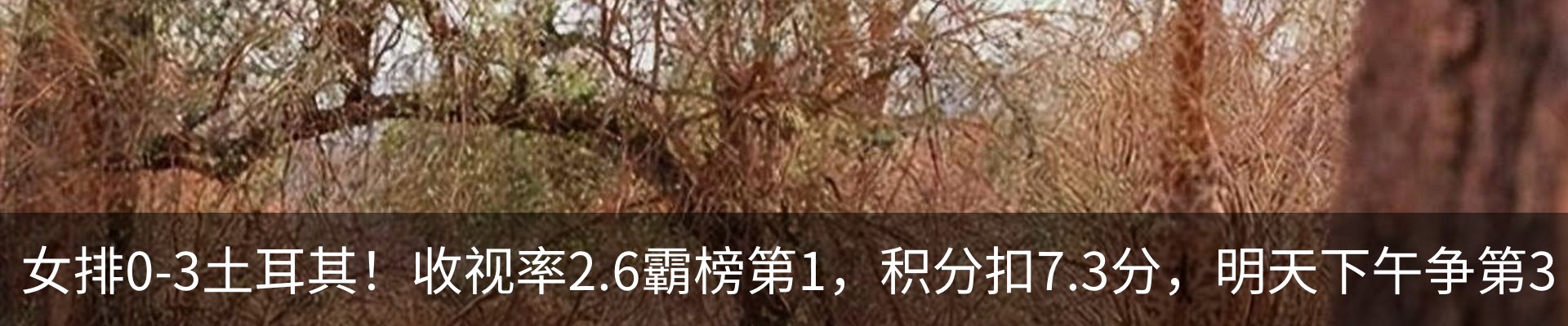 资讯中心